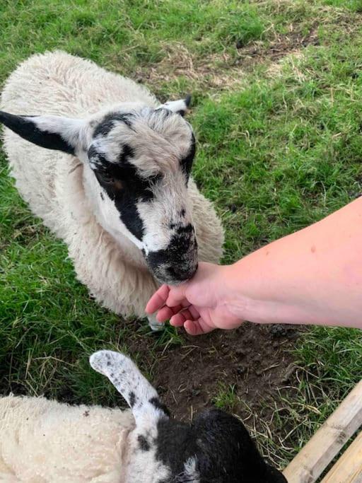 Ivy House Farm, Near Longnor Villa Longnor  Екстериор снимка